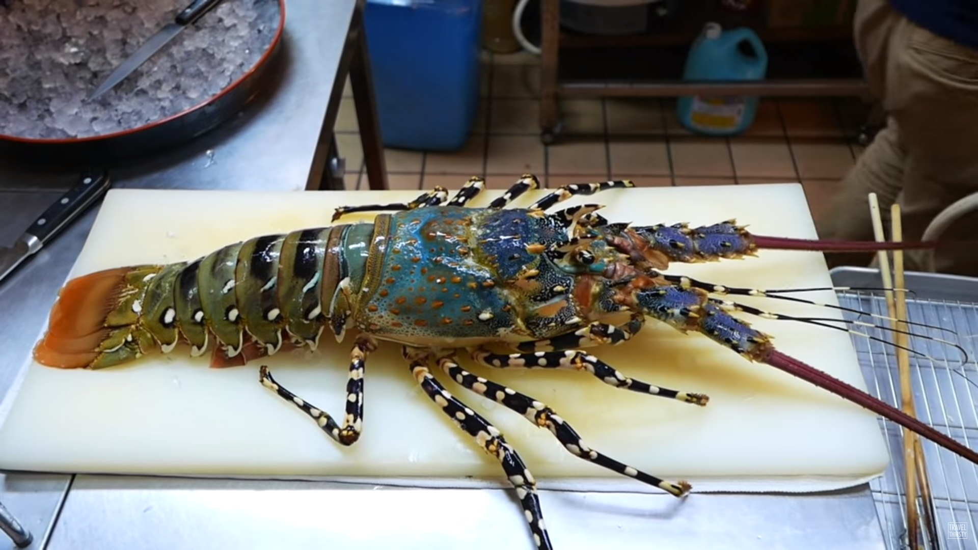 去年向华出口20亿元活龙虾,然而,加拿大龙虾或将在中国市场消失