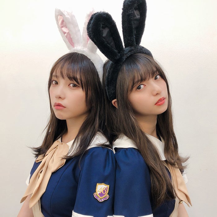 斋藤飞鸟&与田祐希披露兔耳Cosplay乃木坂46万神企划赞不绝口