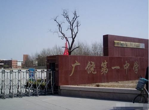 省,也有一所相当牛的县级中学,那就是位于山东东营的广饶县第一中学