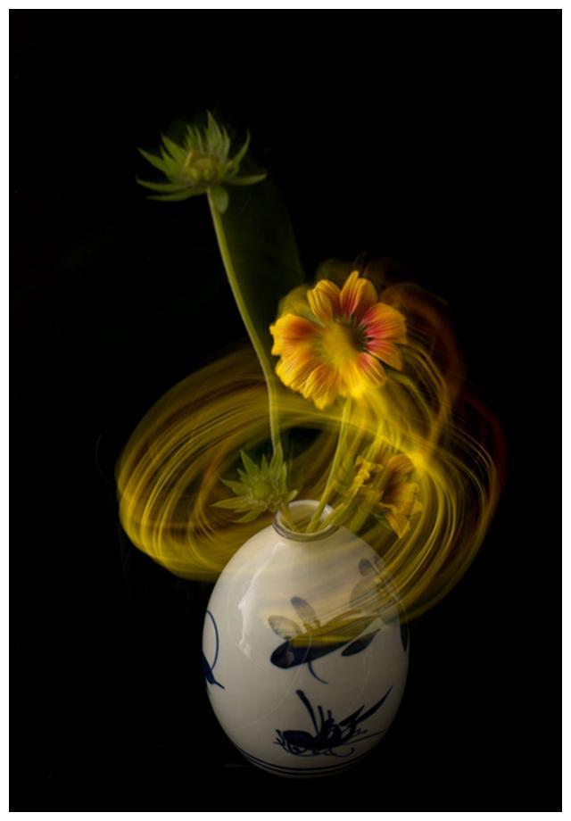 这幅作品采用慢门摇动相机和后帘同步闪光拍摄.