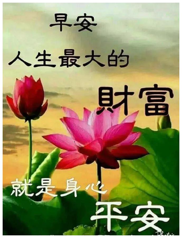 特别暖的早安(特别暖的早安动态图片)