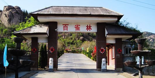 青岛百雀林生态观光园崂山下一个秀丽的风景区你去过吗