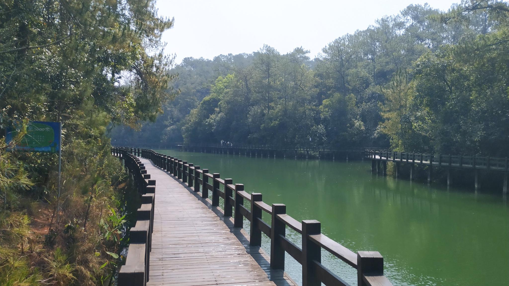 普洱梅子湖公园,风景如画!你来过吗?