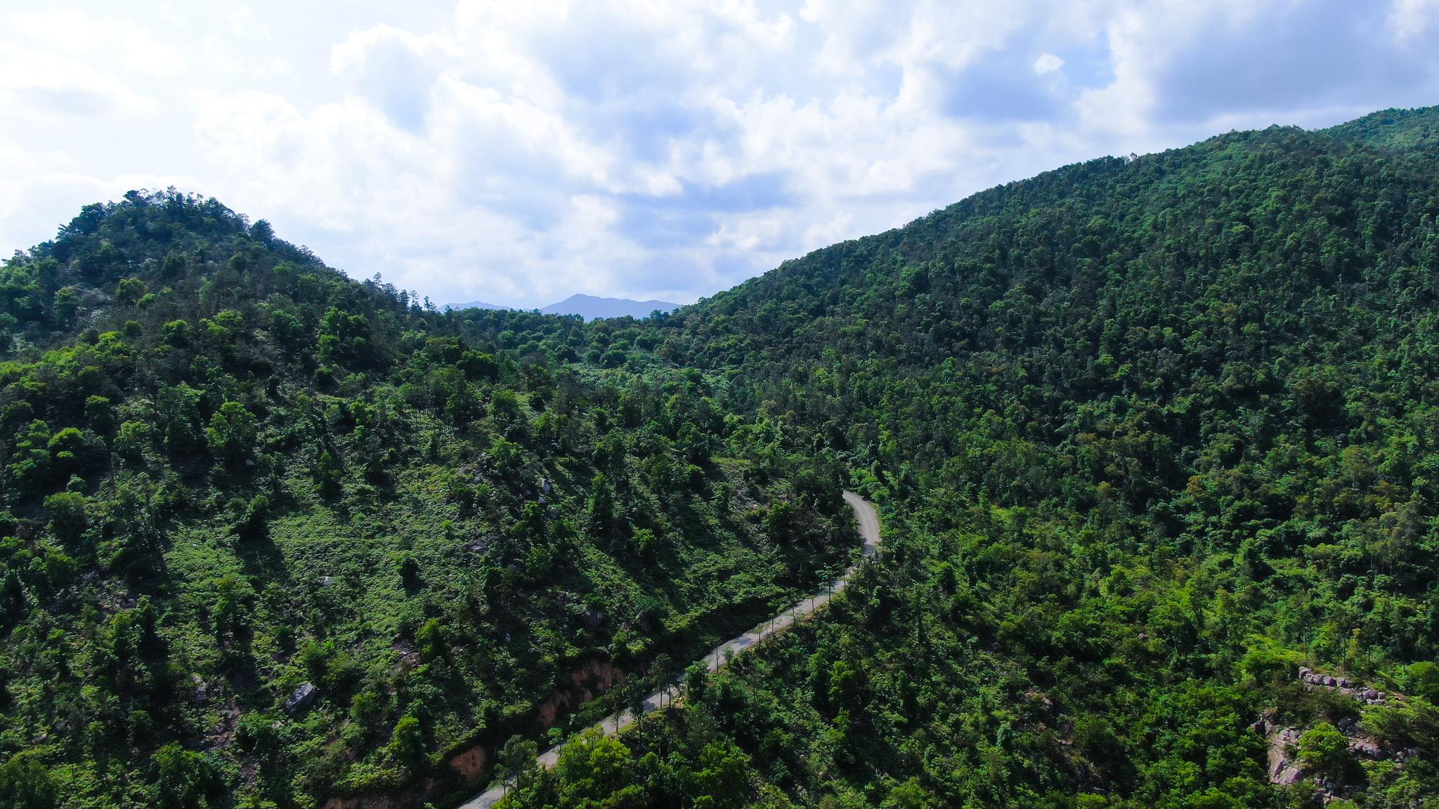 在福建厦门同安周边还有这么一处风景伊人的山区美景_高清图集_新浪网