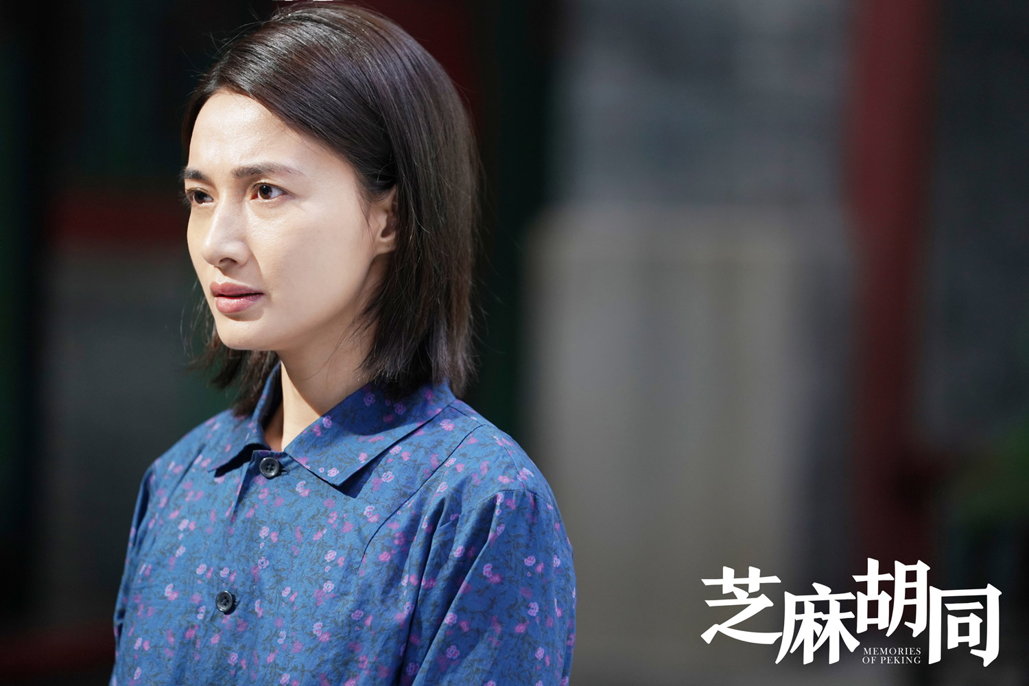 冯文娟芝麻胡同收官收视口碑双赢