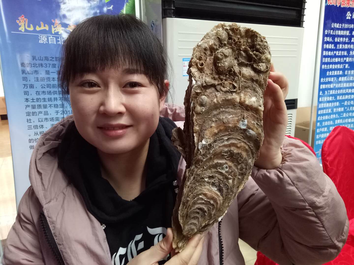 重1560克纯野生牡蛎争霸赛夺魁 获封牡蛎王 美女争相合影