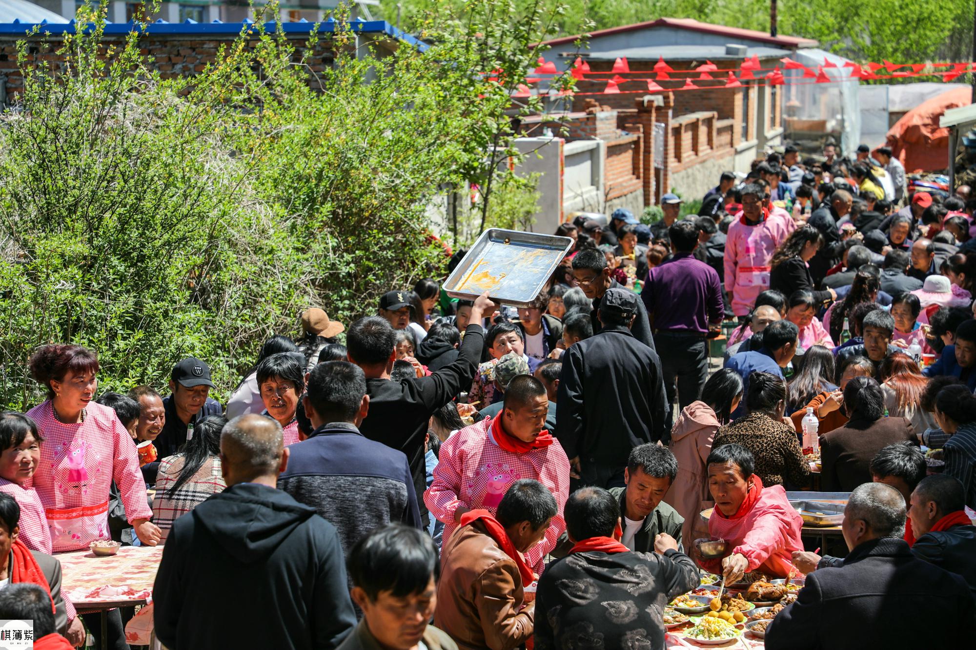 热闹!东北村民吃婚宴摆了一条街,300人席面大肘子大虾管够!