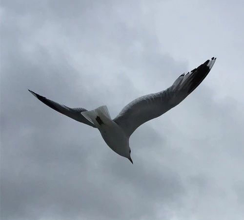头像旷达的男士微信头像