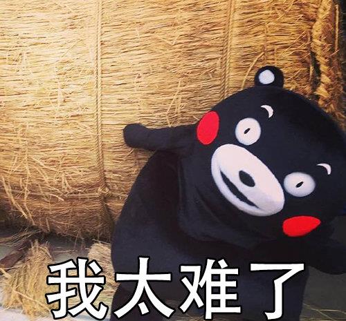 街头看见一只橘猫忍不住蹲下拍个照你也被社会毒打了吗