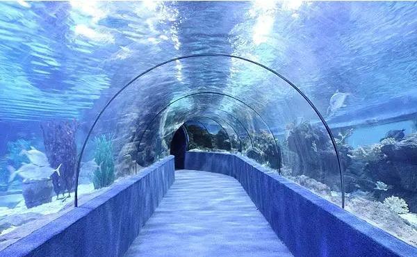 郑州海洋馆带你领略不一样的海底世界