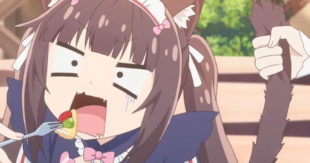 nekoparatv动画大量截图曝光来点表情包过过瘾