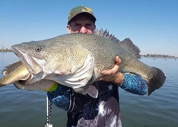 阿拉斯加海域遭遇重达300斤的罕见鳕鱼,此处的鱼种为何如此巨大