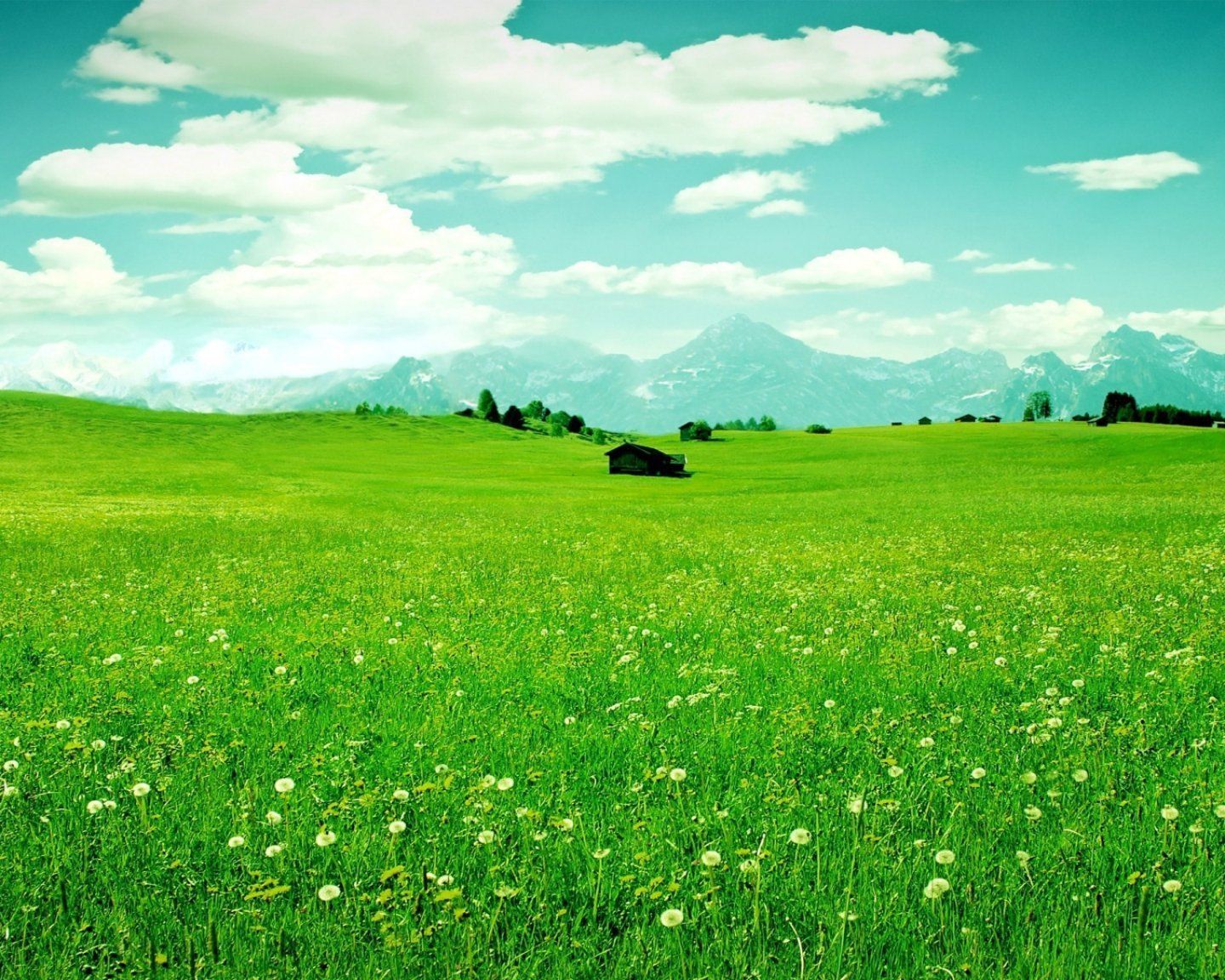 天苍苍，野茫茫，风吹草低见牛羊，美丽的草原风光|草原|天空|草地_新浪新闻