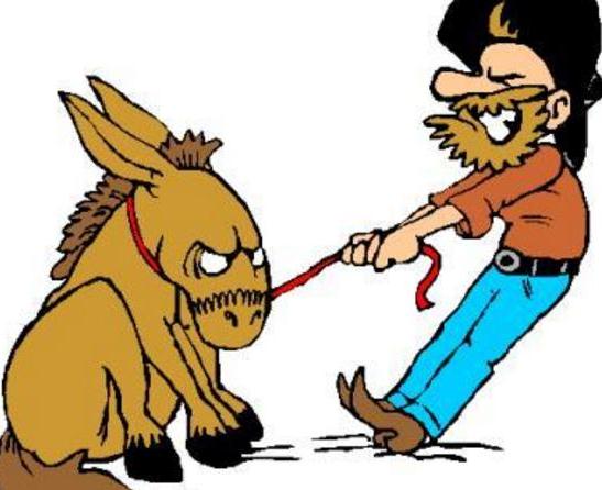 孩子是"小倔驴"怎么办?试试"无条件积极关注法",尊重接纳