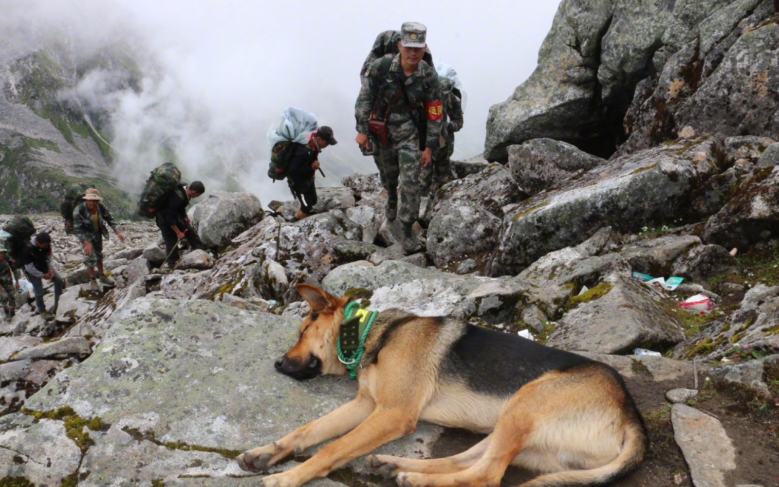 又是一年退伍季铁打的营盘流水的兵致敬守卫边疆的战士们