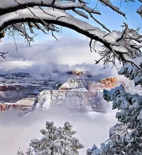 一组极美的雪景图片