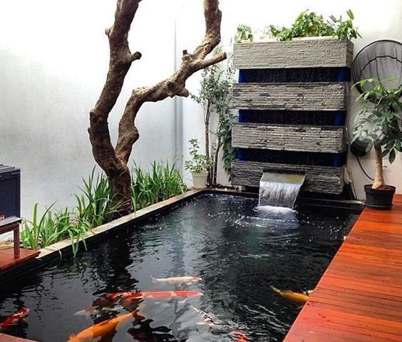 富贵冲天小喷泉中流红鱼涟水中有小径窗前看红鱼,人生休闲乐事鱼塘中