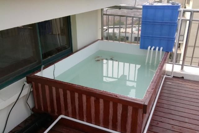 我坚持用防腐木钉鱼池,老婆死活不同意,邻居见了却夸:聪明!|鱼池|老婆