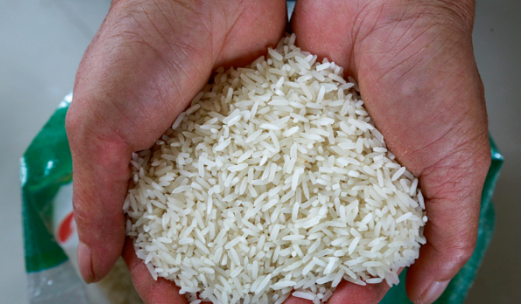 但是米象的体积是非常小的,大概只有半粒大米那个大小,但是米象惊人的