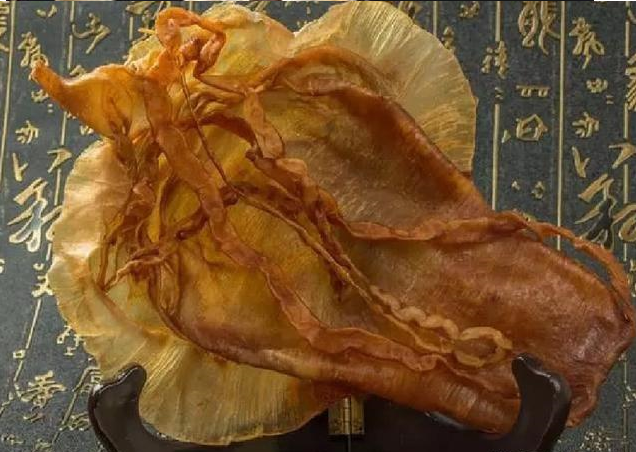 中国最贵的鱼:鱼鳔价格远超等量黄金,曾经吃不起,如今不敢吃|黄唇鱼