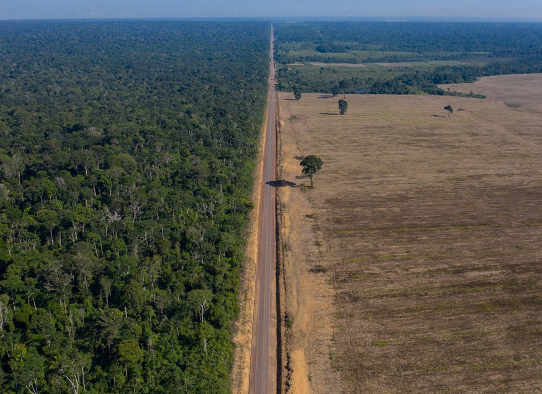 实拍最大雨林现状,巴西亚马逊正在消亡,有人在这发财有人逃离_高清图