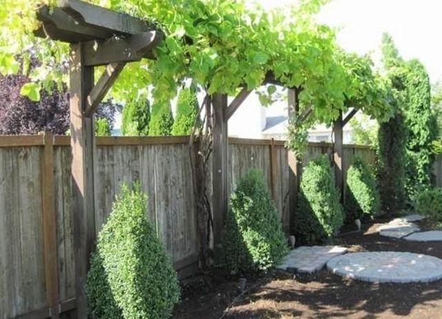 迷人的庭院,怎能少了完美的葡萄架露台?