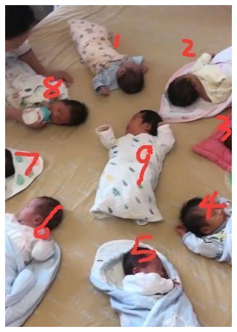 也可能存在必然性 在我们的生活日常中,如果有妈妈能够生下双胞胎,这