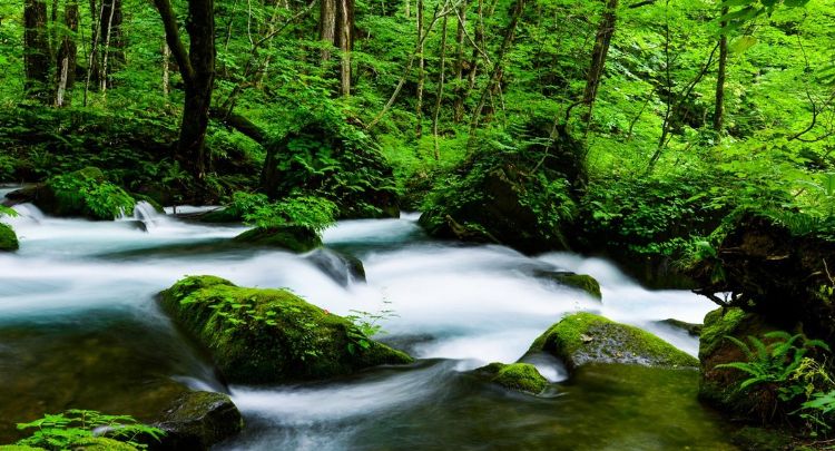 風景印 初日 青森 田子 S61 10 1 最高の