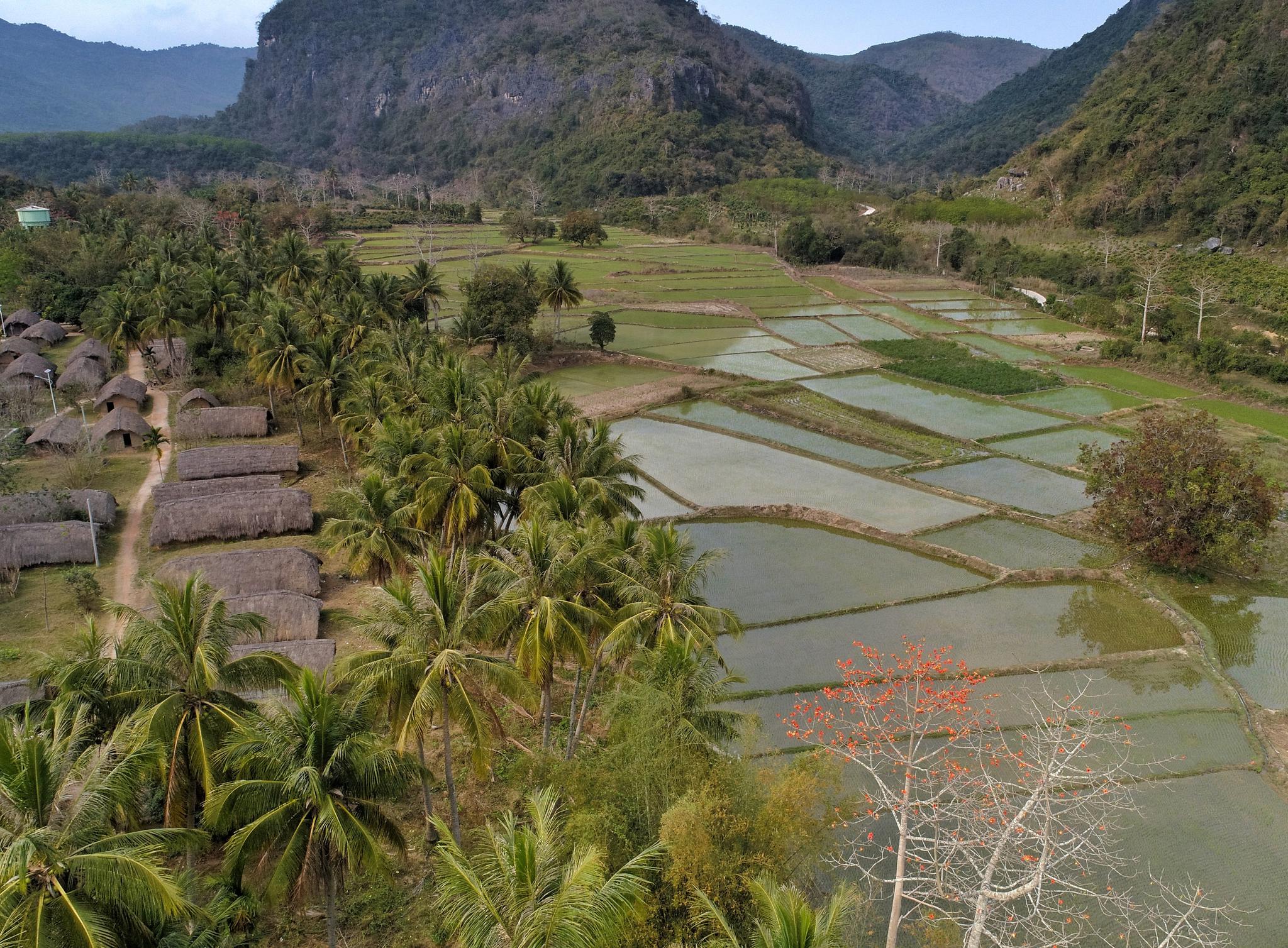 木棉花开的海南黎家村寨