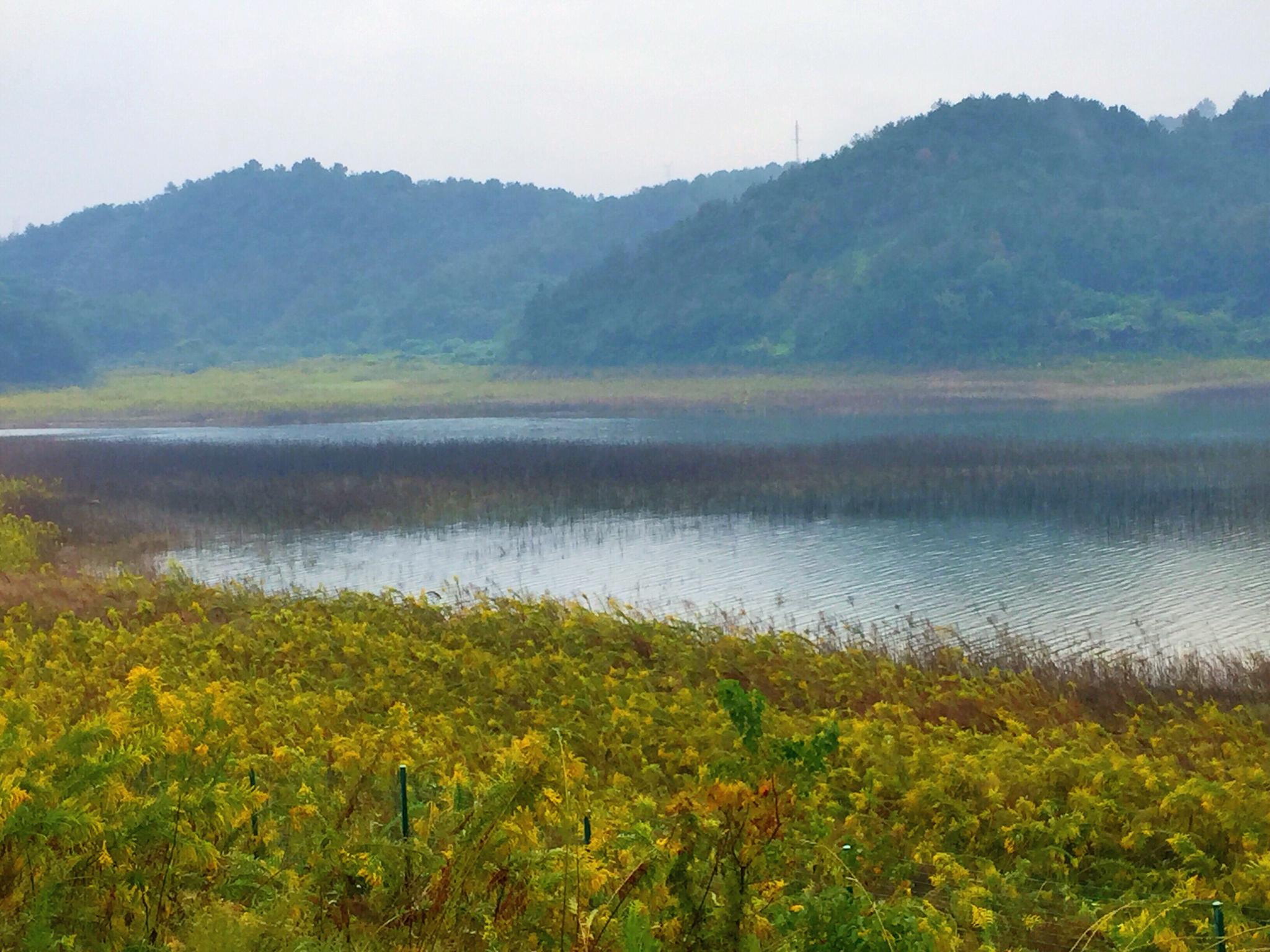 温岭湖漫水库(原创)