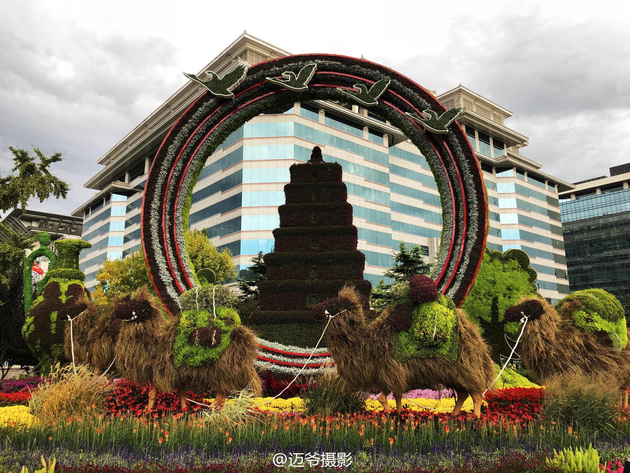 立体花坛扮靓国庆期间的北京【手机原创摄影】