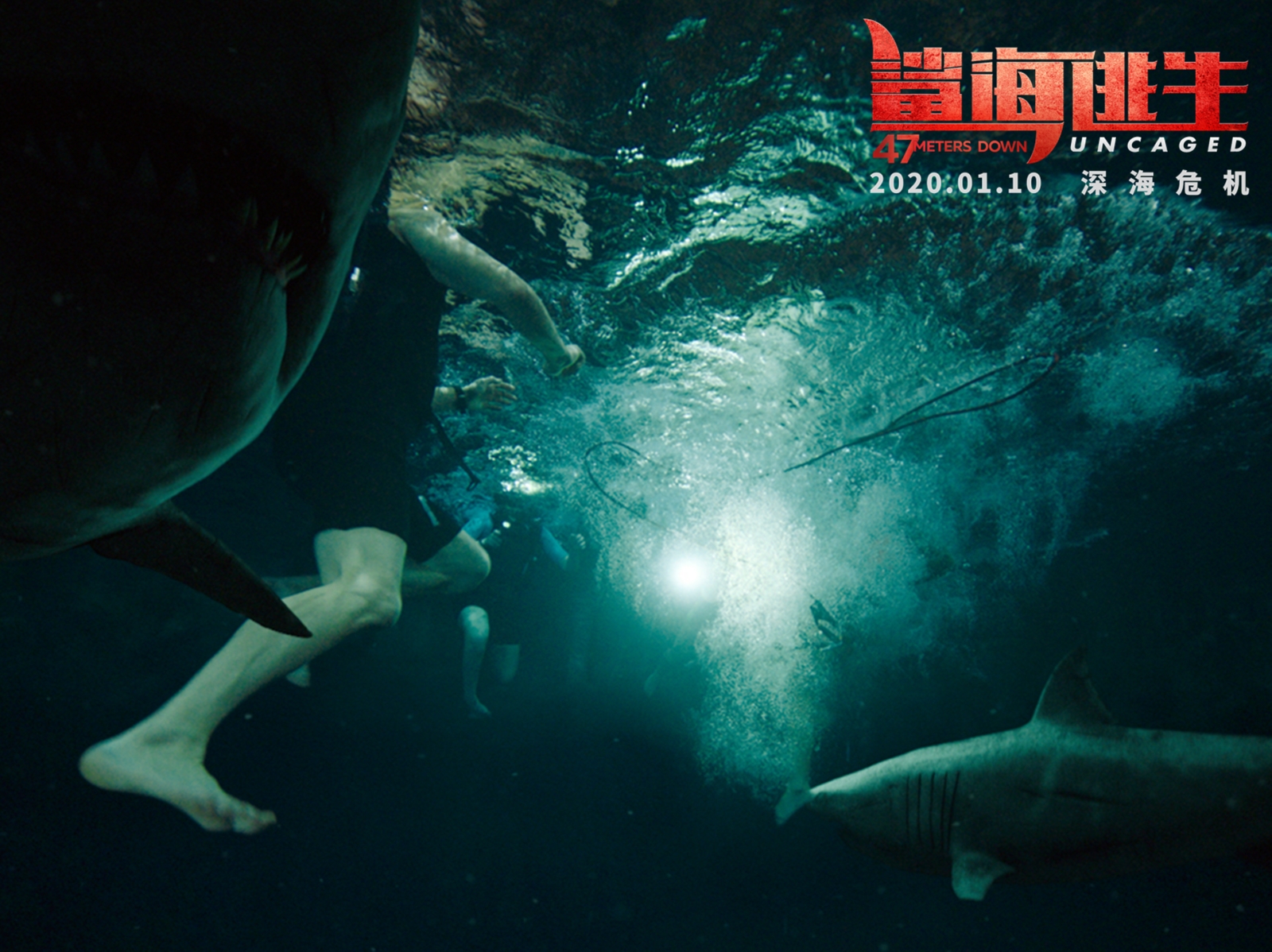 重磅海底杀手露真容《鲨海逃生》解锁全新冒险篇章