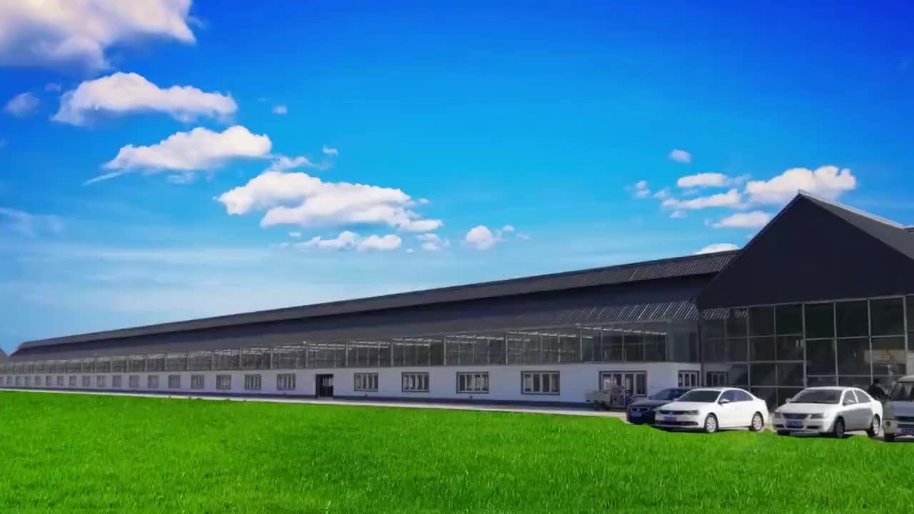 「赛鸽欣赏」2019年绥中元泰信鸽爱心公棚500公里决赛视频回顾_01