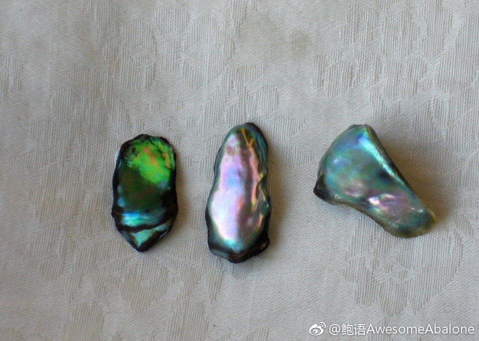 鲍鱼也能产珍珠?