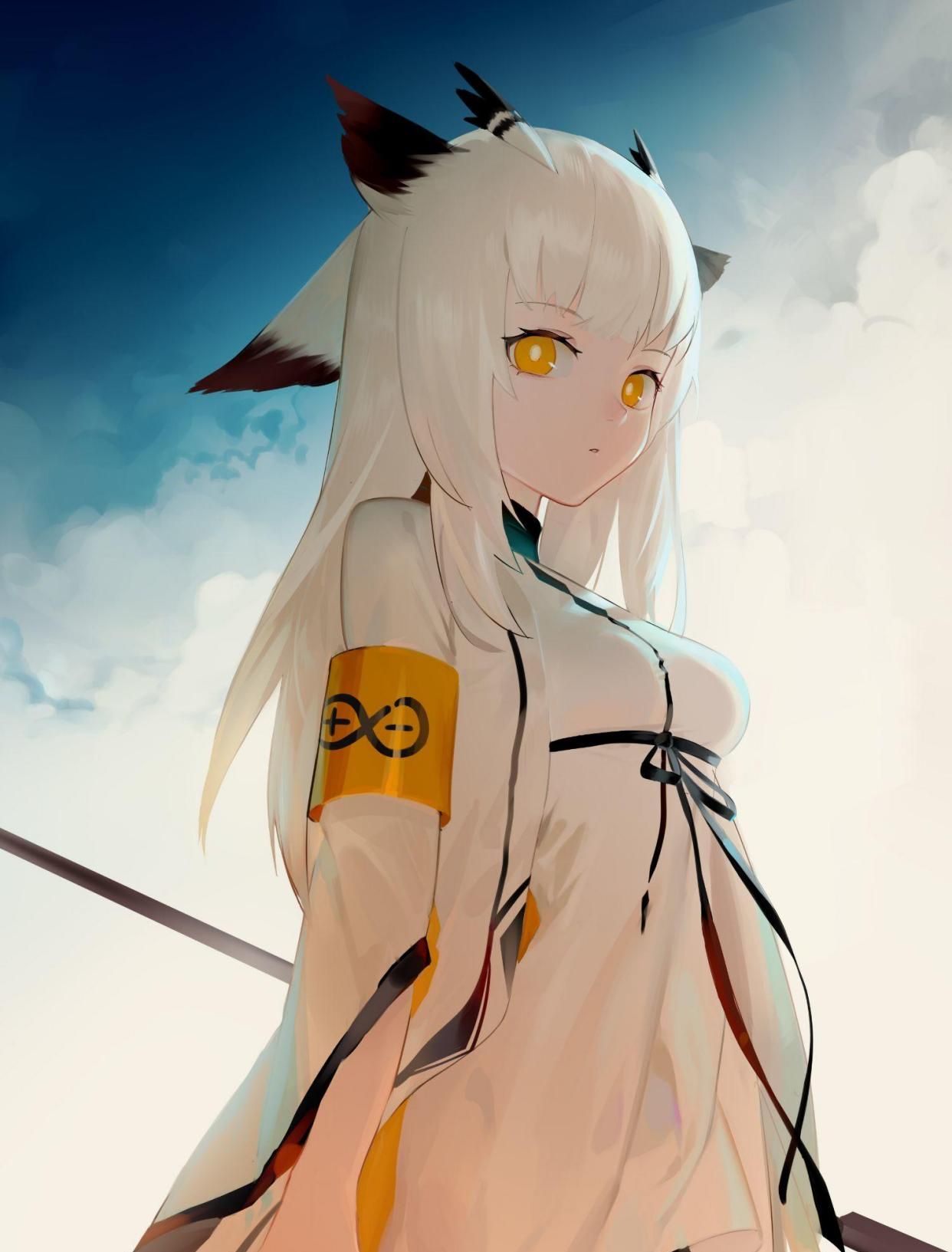 6/ 14白面鸮5/ 14白面鸮4/ 14白面鸮3/ 14