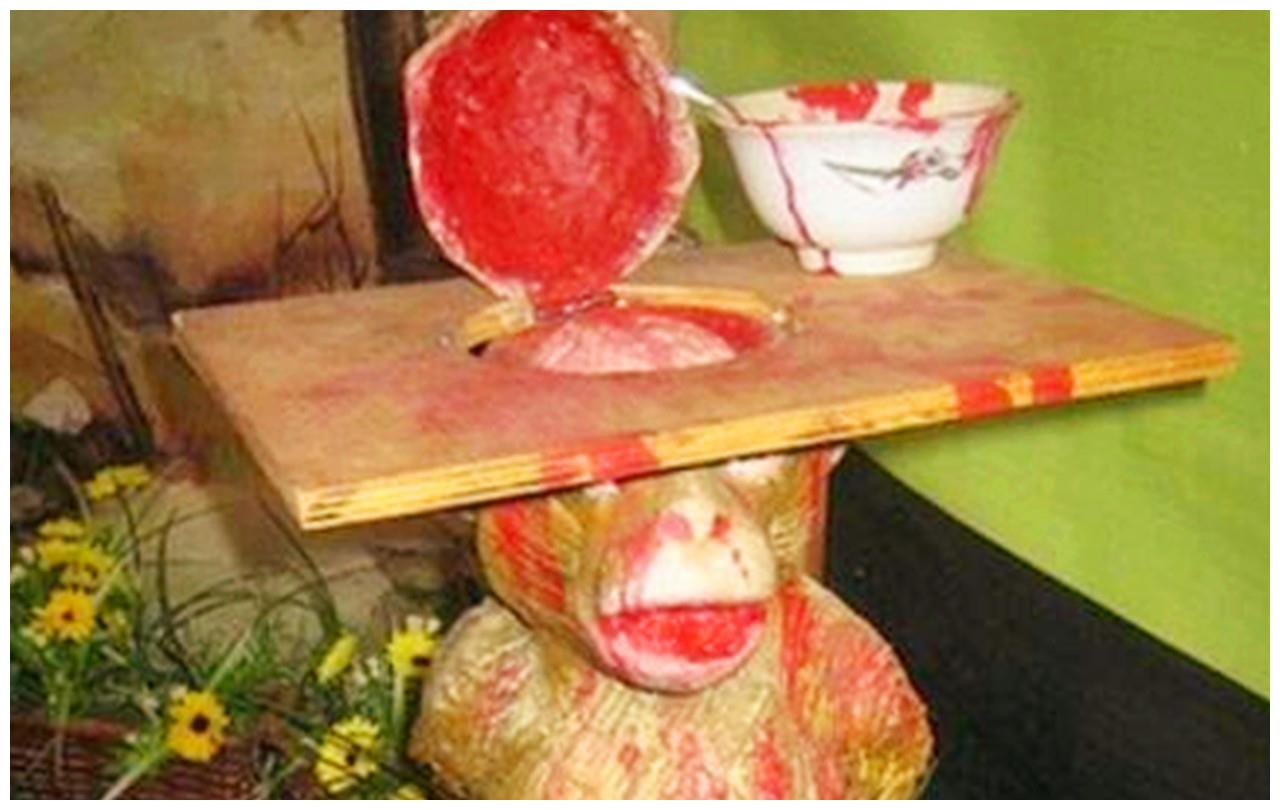 河虾|猴脑|泰国_新浪新闻