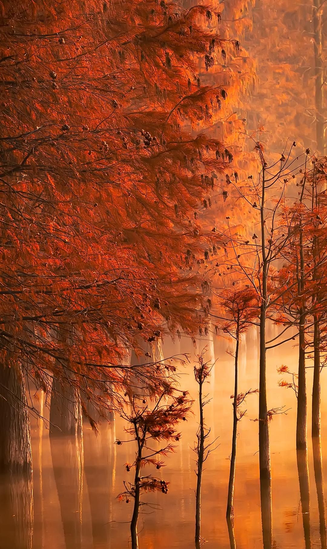 1080_1812竖版 竖屏