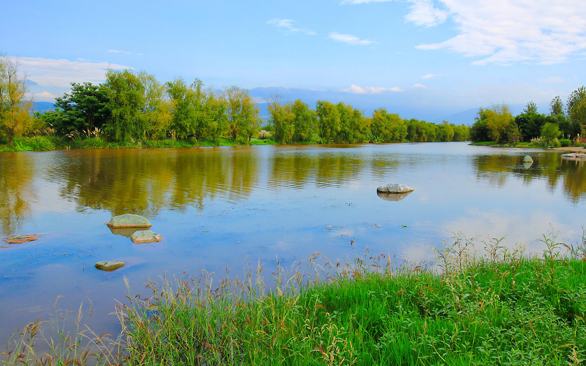风景如画的邛海湿地美景