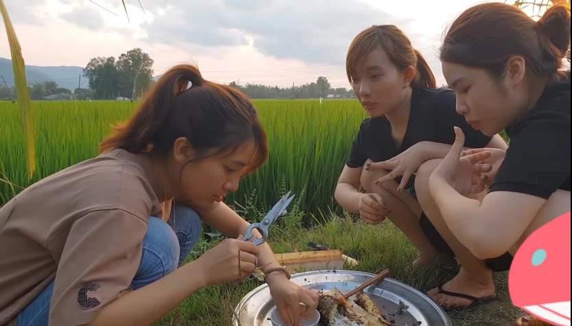 这个柬埔寨美女不错,泥巴地里摸鱼都好看,转身那一刻太惊艳了