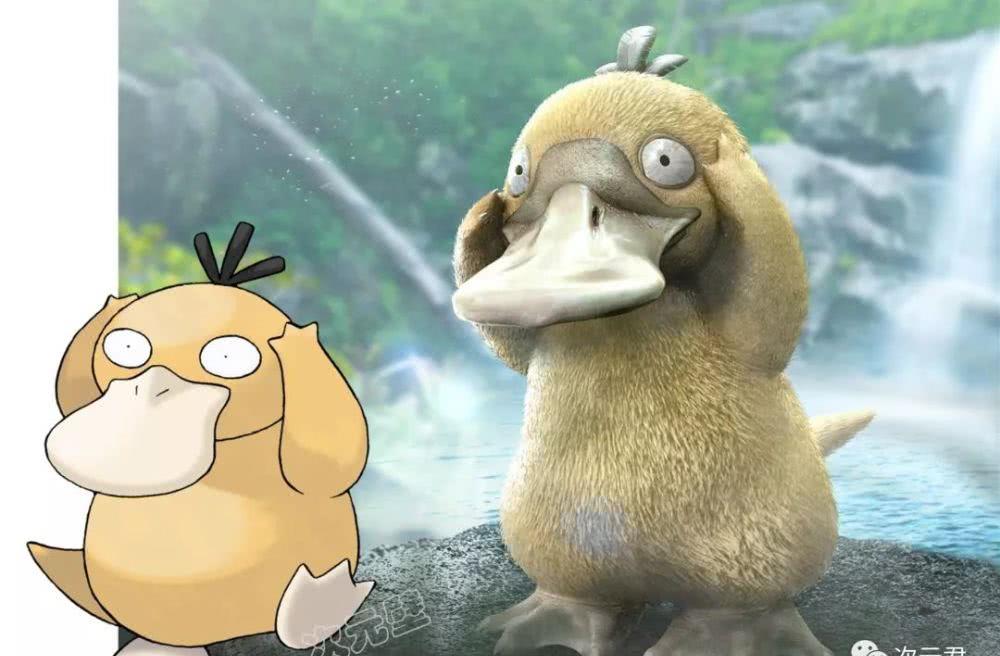 "真实版"神奇宝贝:可达鸭太可爱了,妙蛙种子没眼看!