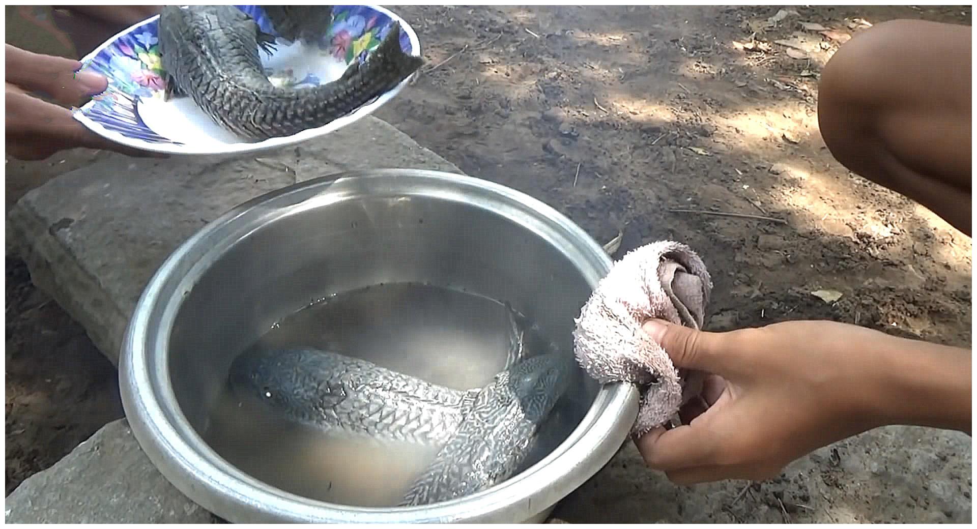 小伙钓到4条"清道夫鱼",看起来特别肥,煮好吃时想哭