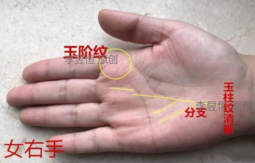 手相玉柱纹这3种特征，早晚必富，大有作为！|玉柱|手相|早晚_新浪新闻