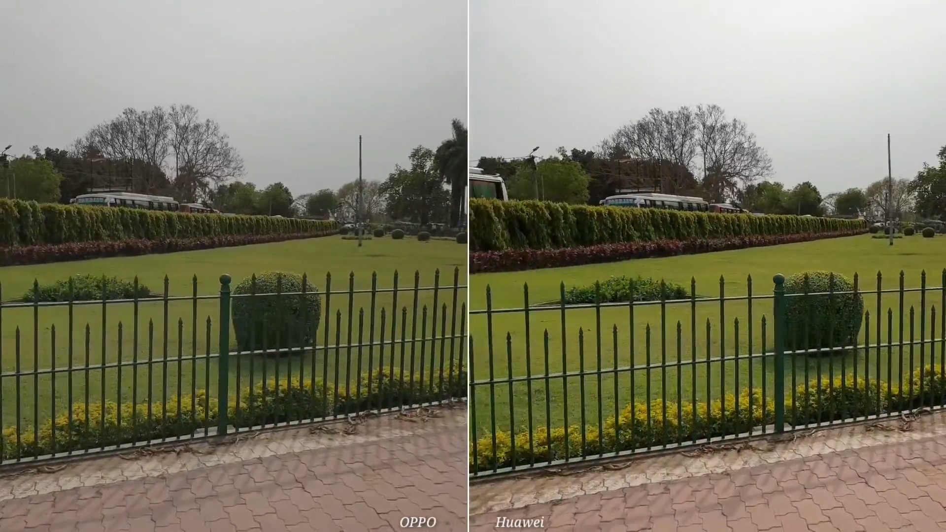 OPPO Reno与华为P30 Pro相机对比,你更喜欢