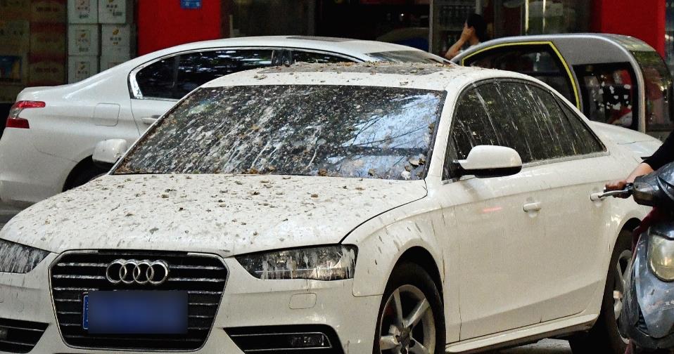 最毁车漆的不是暴晒也不是酸雨,而是它!轻易的就可以要车漆龟裂