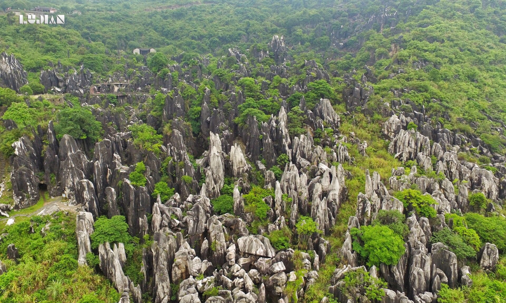 贺州有片玉石林,形成于一亿多年前