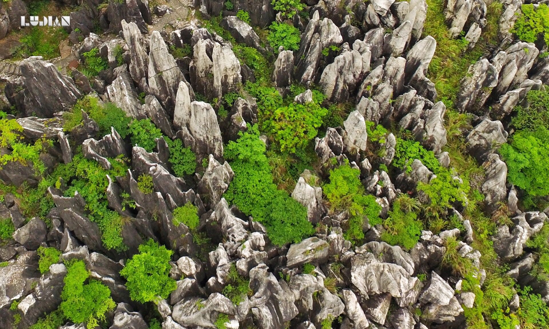 贺州有片玉石林,形成于一亿多年前