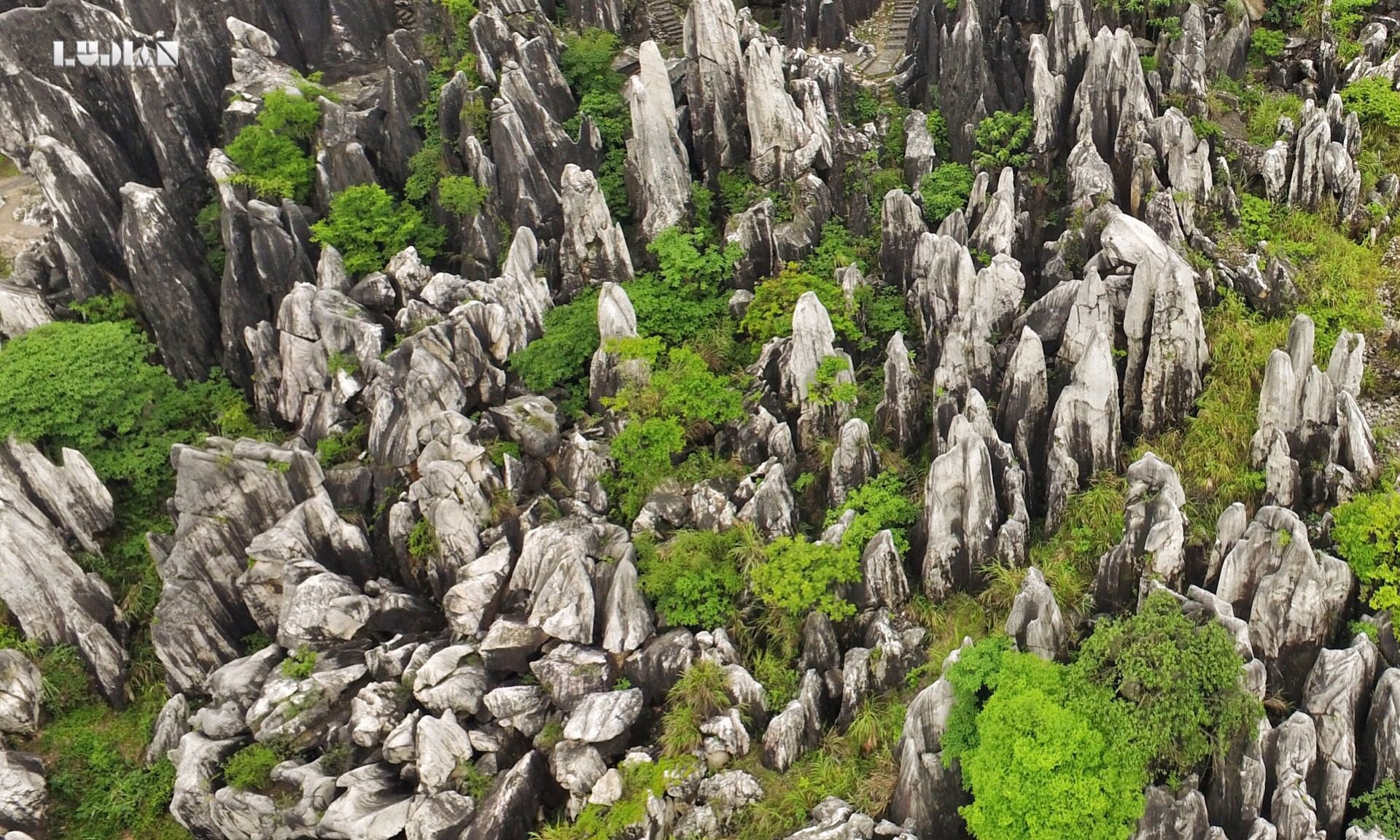 贺州有片玉石林,形成于一亿多年前