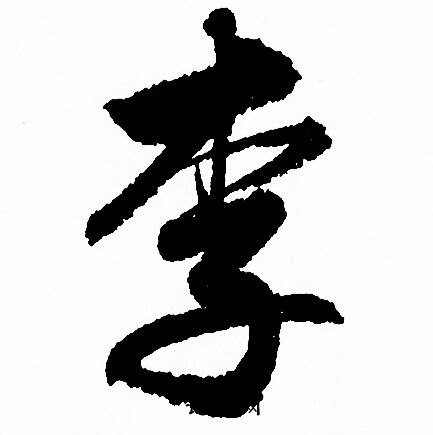 识别时,如果里面有个"木"字,我们可以考虑它可能是"李"字(或是"杏","