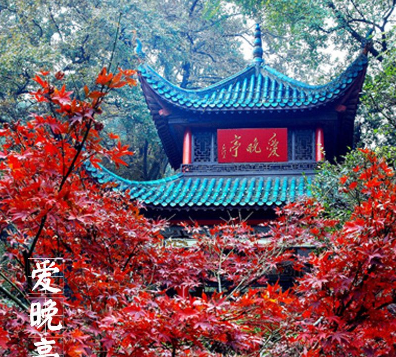 「中国古建筑图集」No.019——爱晚亭|爱晚亭|杜牧|山行_新浪新闻
