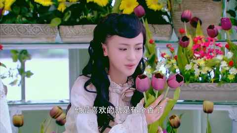 烽火佳人第二十三集红羽给毓婉下战书势必夺家夺夫夺位